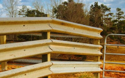 Slash Your Farm’s Fencing Costs with This Surprising Solution
