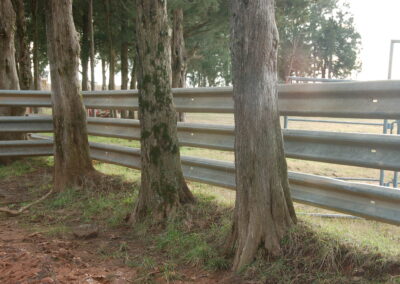 guardrail on farm (2)